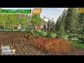 Taking Care of Sheep. Making & Preping a Field for Sowing ⭐ No Man's Land #47 ⭐ FS19 4K Timelapse