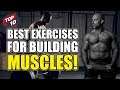 10 Best Exercises For MUSCLE Gain!