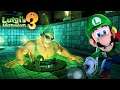 BODYBUILDING GHOSTS!! | Luigi's Mansion 3