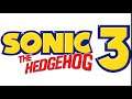 Chaos Emerald - Sonic the Hedgehog 3 & Knuckles