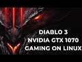Diablo 3 on Linux via Lutris | 1440p | GTX 1070 + Ryzen 7 2700X | Linux Gaming