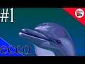 Ecco the Dolphin (Sega Genesis/Mega Drive (JP)) - Episódio 1 - Owen Glendower