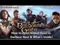 How to Open Gilded Chest in Owlbear Nest Baldur's Gate III
