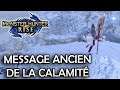 Les 10 MESSAGE ANCIEN de la CALAMITÉ | Monster Hunter Rise