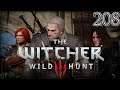 Let's Play The Witcher 3 Wild Hunt Part 208