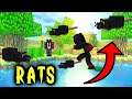 RAT ATTACKS OUR MINECRAFT STORE