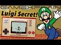 SECRET: How to Play as Luigi in Ball! | Game & Watch: Super Mario Bros. Easter Egg