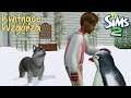 Zimowy przypał | Sims 2 Kwitnące Wzgórza #27