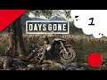 🔴🎮 Days Gone - ps4 - 01