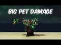Big Pet Damage - Demonology Warlock PvP - WoW BFA 8.1.5
