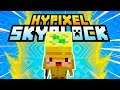 ¡EXPANSIÓN! | Hypixel Skyblock EP13
