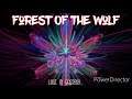 Forest Of The Wolf  -  Lost In Ecstasy