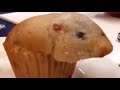 Hamster Muffin Earrape