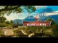 Witcher 3: Blood and Wine - Wight's Lair and Geralt's Estate (Part 9)