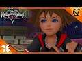 BOSS GAUNTLET! | Kingdom Hearts: Dream Drop Distance HD Part 16