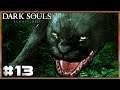 Dark Souls - Black Knights and Giant Cats! The Asylum To The Garden Walkthrough Part 13