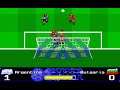 Empire Soccer 94 (Graftgold) (MS-DOS) [1994] [PC Longplay]