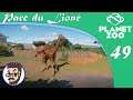 Girafes et zèbres - ep.49 - Parc du Lioné | Planet Zoo | FR