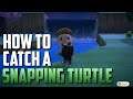 HOW TO CATCH A SNAPPING TURTLE - Animal Crossing New Horizons [5000 Bells - Detailed Fish Guide]