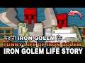 Life Story Of Iron Golem Family In Hindi || Iron Golem Life Animation