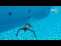 Melissa Wu One-Piece Green and Yellow Swimsuit Body Underwater Swimming Pool Scene