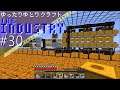【Minecraft】ゆったりゆとりクラフトThe Industry #30