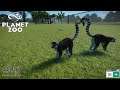 Planet Zoo LetsPlay Deutsch mit Mods #06 Die Kattas ziehen ein.