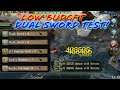 Toram Online - Low Budget Build Dual Sword Test Damage! 1 Xtal No Ava Test!