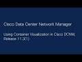 Using Container Visualization in Cisco DCNM, Release 11.3(1)