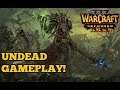 Warcraft 3 Reforged Beta | 2 v 2 Gameplay