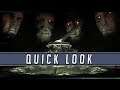 Apsulov: End of Gods (Quick Look) - The Size of This Lad