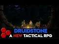 Druidstone - A New Tactical RPG - TheHiveLeader