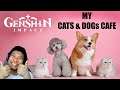 Genshin Impact - My House Tour  Cats and Dogs Cafe Livestream