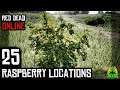 Red Dead Redemption 2 Online - RASPBERRY LOCATIONS