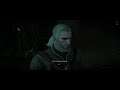 The Witcher 3 Wild Hunt SKELLIGE WITCHER CONTRACT Here Comes the Groom Walkthrough