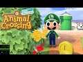 Animal Crossing New Horizon - Super Mario 35th Anniversary Update! (March 2021) #ACNH