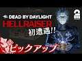 【セノバイト初遭遇】DbD生放送#164 からピックアップ【2BRO.】