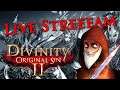 Divinity: Original Sin 2 - Live Streeeam - Part 198