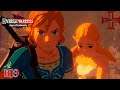 Hyrule Warriors: Age Of Calamity #19 Calamity Strikes