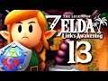 DRÔLE DE POISSON CHAT | Zelda Link's Awakening HD : #13