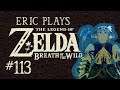 ERIC PLAYS The Legend of Zelda: Breath of the Wild #113 "Maze Craze"