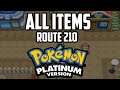 EVERY Item in Route 210 - Pokémon Platinum