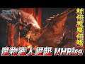 [NS] 魔物獵人崛起 Monster Hunter RISE 劇情攻略(05) 迅龍X雷狼龍X泡狐龍X蠻顎龍X火龍X泥翁龍