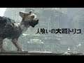 [PS4] 人喰いの大鷲トリコをやって感動したい #3