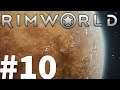 Rimworld Part #010 That Works