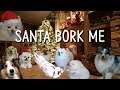 Santa Bork Me (산타텔미 강아지 리믹스)