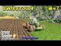 Spreading Lime. Cultivating & Sowing Grass. Harvesting Maize | Swisstouch #47 | FS19 4K TimeLapse