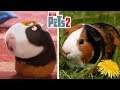 The Secret Life Of Pets 2 Characters In Real Life | Star Detector
