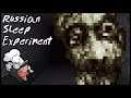 Unsettling MSDOS Horror Game? | Russian Sleep Experiment