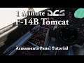 1 Minute DCS - F-14B Tomcat  - Armaments Panel Tutorial